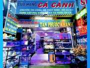 Bảng Hiệu Cá Cảnh