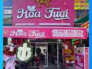 Bảng Hiệu Màu Hồng