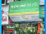 Bảng Hiệu Cây Cảnh