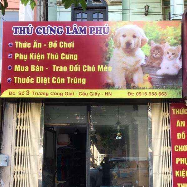 Thi c&ocirc;ng bảng hiệu shop th&uacute; cưng bạt hiflex c&oacute; khung sắt