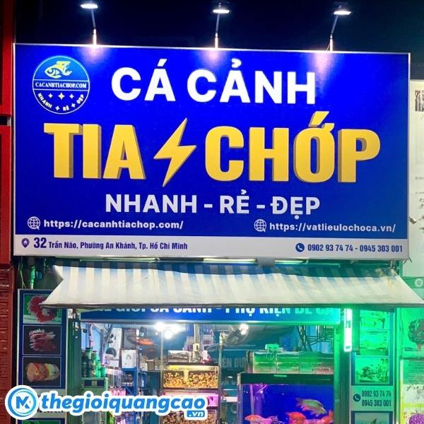 Mẫu bảng hiệu c&aacute; cảnh Tia Chớp
