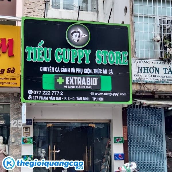 Thi c&ocirc;ng bảng hiệu c&aacute; cảnh chuy&ecirc;n nghiệp