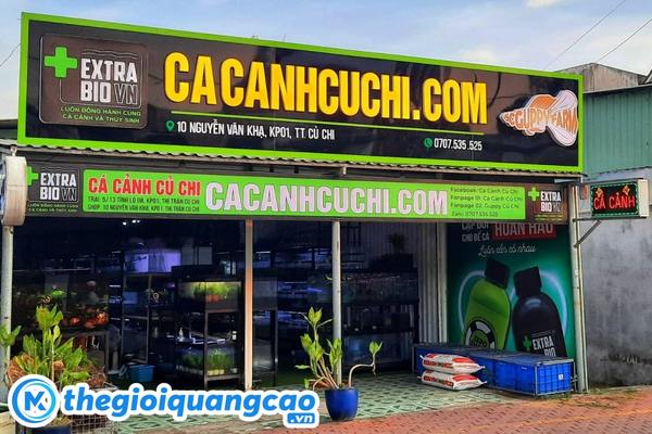 Bảng hiệu c&aacute; cảnh chữ nổi mica