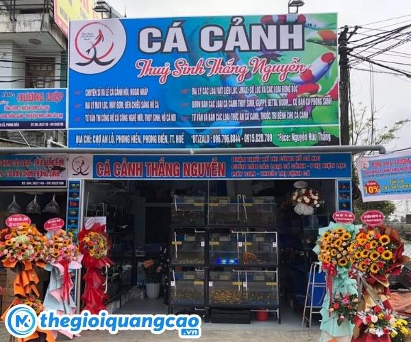 Bảng hiệu c&aacute; cảnh bạt hiflex