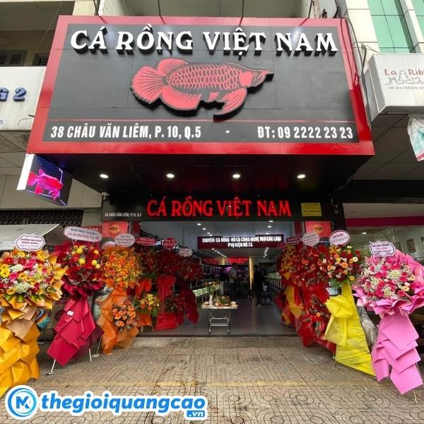 Thiết kế bảng hiệu c&aacute; cảnh theo y&ecirc;u cầu