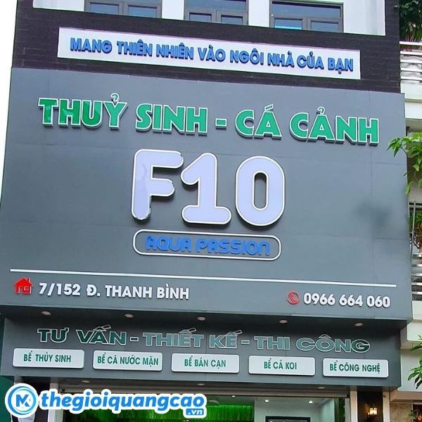 Lưu &yacute; thiết kế phong thủy cho bảng hiệu thủy sinh, c&aacute; cảnh