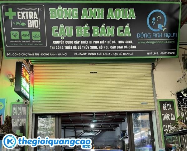 Mẫu bảng hiệu cửa h&agrave;ng c&aacute; cảnh phong thủy