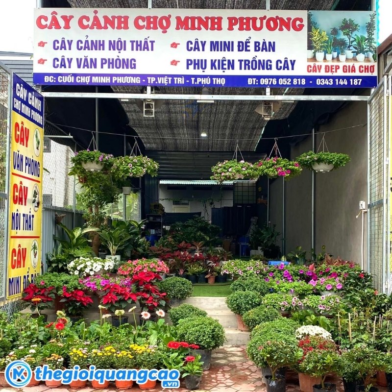 Mẫu bảng hiệu c&acirc;y cảnh chợ Minh Phương