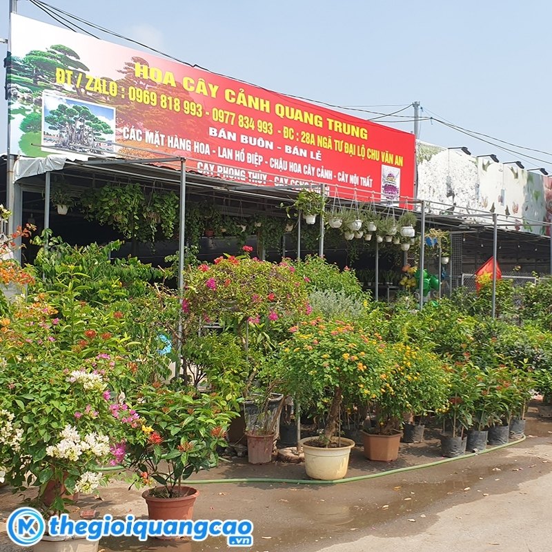 Mẫu bảng hiệu c&acirc;y cảnh Quang Trung