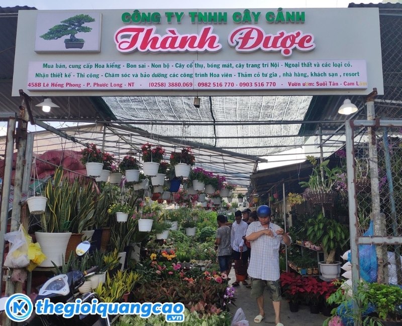 L&agrave;m bảng hiệu quảng c&aacute;o shop c&acirc;y cảnh gi&aacute; rẻ tại TPHCM