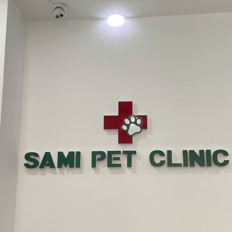 Bộ chữ nổi, logo gắn trang trí trong nhà
